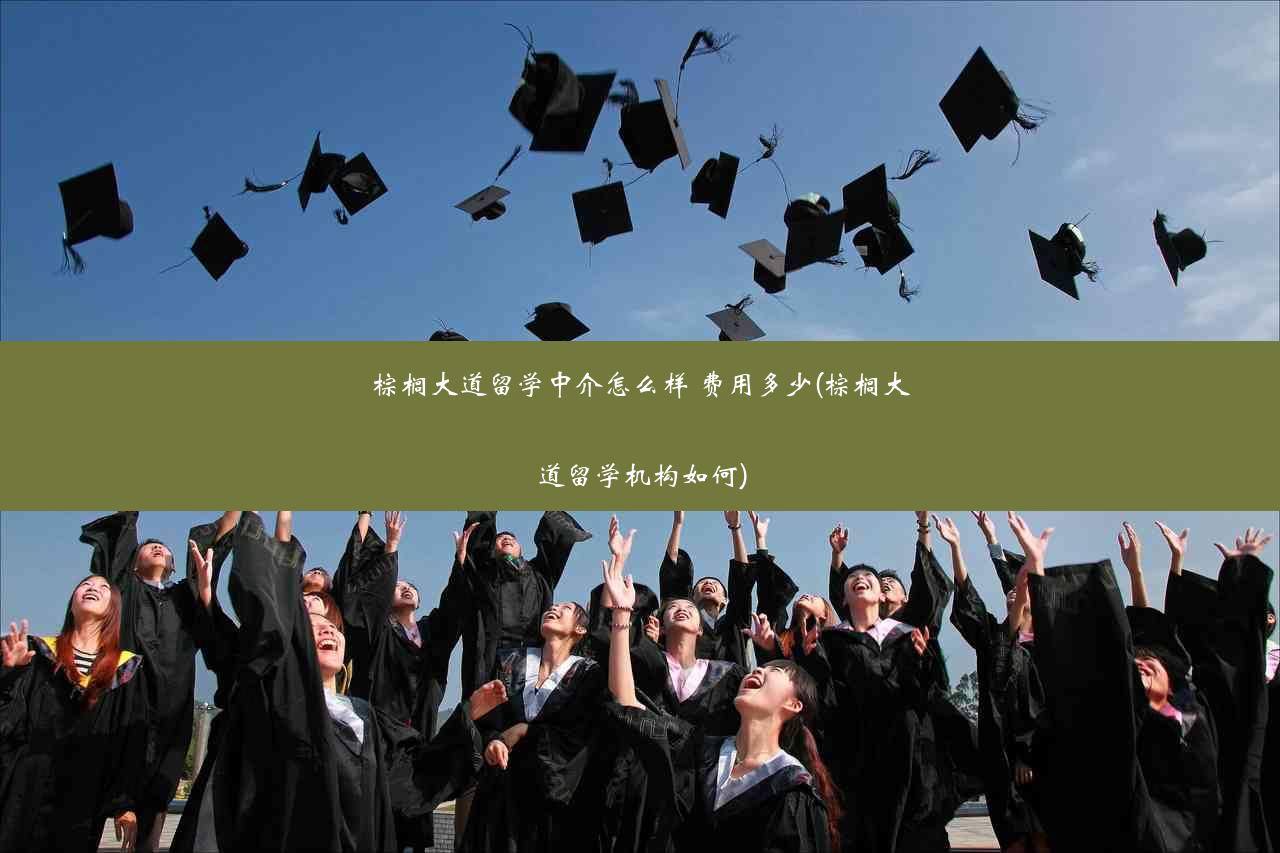 棕榈大道留学中介怎么样 费用多少(棕榈大道留学机构如何)